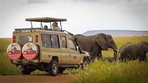 Africa Safari Itineraries & Tour Prices (2024-2024)