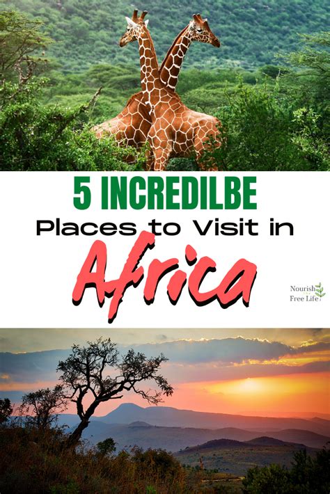 Africa Travel Guide Places to Visit in Africa Rough Guides