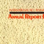AfricaRice Annual Report 1981