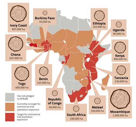 African Forest Landscape Restoration Initiative (AFR100)