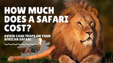 African safari cost. African safaris are expensive. Travel Africa magazine stated that the standard price of a 10-day safari in Botswana is £6000-8000 (US$8,500-11,000), or $850-1100 per person per day. Major international safari companies routinely quote $750-1000 per person per day for Tanzanian or Kenyan safaris. That’s a lot of money for an … 