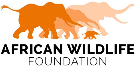 African wildlife foundation. The African Wildlife Foundation is a 501(c)3 nonprofit charity. Within the limits of law, your gift is 100% tax-deductible. For tax purposes, our EIN is 52-0781390. 