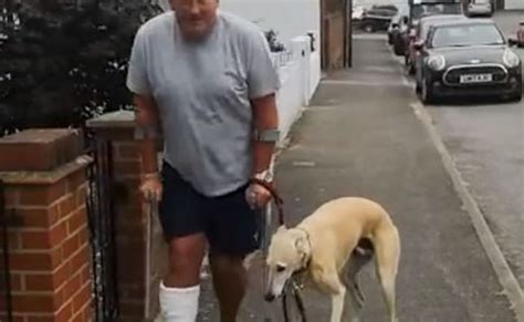 After $400 trip to vet, man learns his limping dog was just