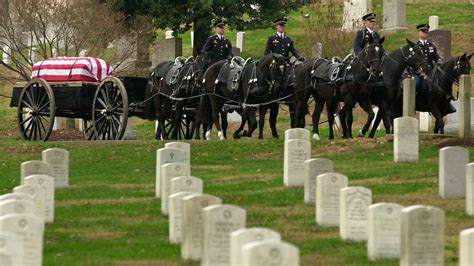 After Arlington National Cemetery horse deaths, Army makes changes to improve their care