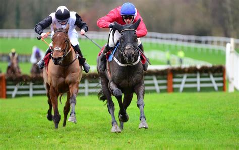 After a glorious Cheltenham, Cheveley Park may have yet ... - Horse Racing