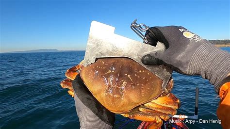 After a late start, Dungeness crab fishing season is ending in two weeks