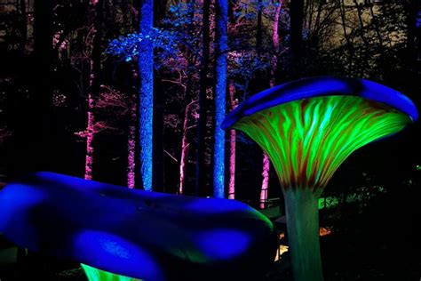 After dark fernbank. Jan 29, 2019 · Offered the 2nd Friday of each month, Fernbank After Dark offers a variety of unique after-hours experiences, including evening access to museum exhibits, li... 