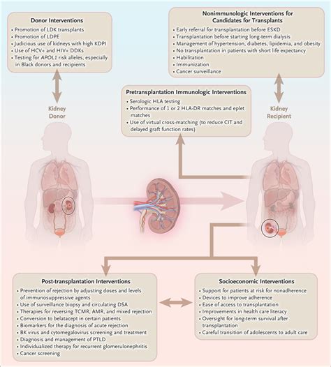 After kidney transplant, do patients require complete isolation for …