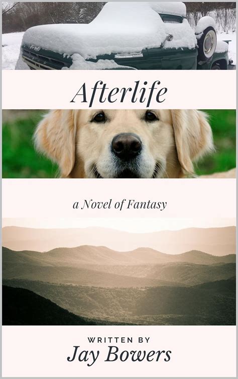 Read Afterlife Afterlife 1 By Jay Bowers