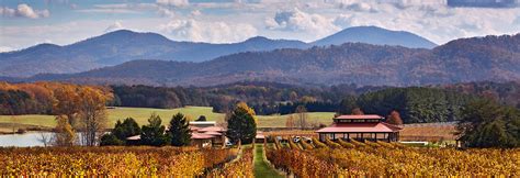 Afton mountain vineyards. Things To Know About Afton mountain vineyards. 
