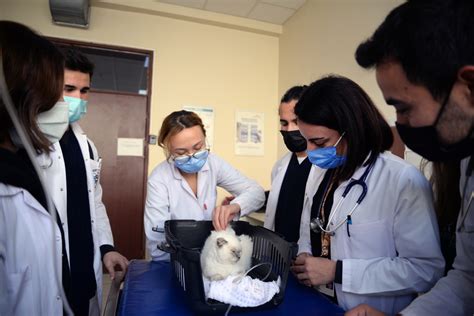 Afyon veteriner fakültesi hayvan hastanesi