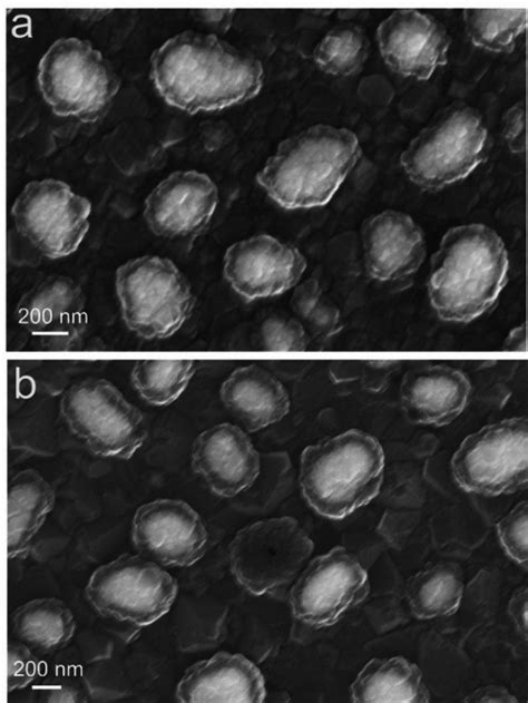 Ag–Diamond Core–Shell Nanostructures Incorporated with Silicon …