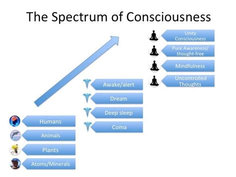 Against the Spotlight Model of Consciousness Shanon
