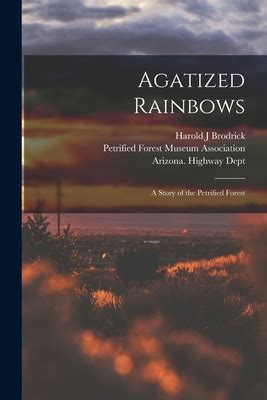 Agatized Rainbows A Story of the Petrified Forest