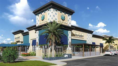 Agave azul orlando. May 26, 2015 · Agave Azul Cocina Mexicana - Kirkman, Orlando: See 921 unbiased reviews of Agave Azul Cocina Mexicana - Kirkman, rated 4.5 of 5 on Tripadvisor and ranked #55 of 3,678 restaurants in Orlando. 