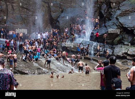 Agaya Halı ve Koltuk Yıkama