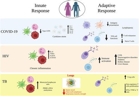 Age and immunity Immunity & Ageing Full Text