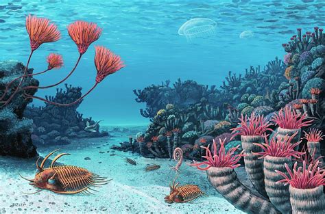 Trilobites first appeared around 520 million years ago and lasted for about 270 million years. An illustration of the Cambrian seafloor with the trilobite Redlichia rex in the foreground.. 