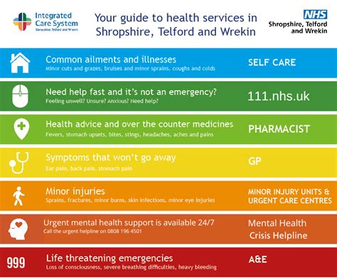 Agenda item - Local NHS services -