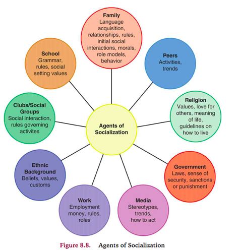 Agents of Socialization