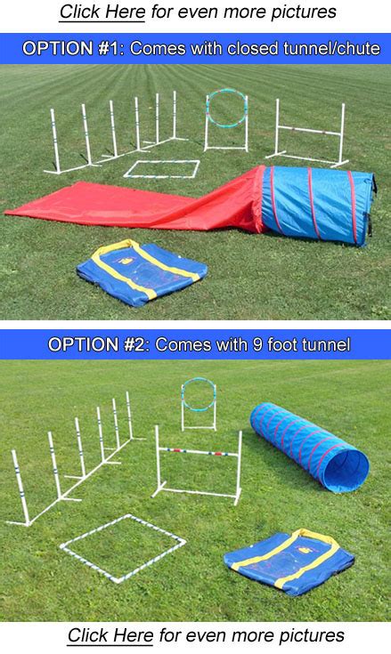 Agility in A Bag Set (dog agility starter kit) - Affordable Agility