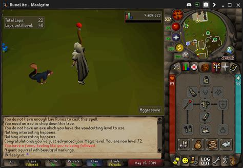 Agility pet osrs. Things To Know About Agility pet osrs. 