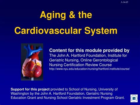 Aging and Vascular System