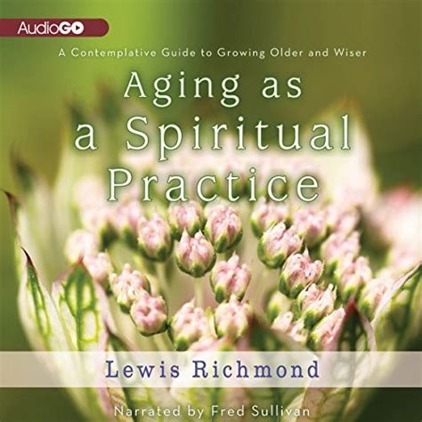 Aging as a spiritual practice contemplative guide to growing older and wiser lewis richmond. - Hip girls guide to the working world.