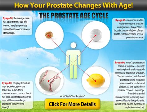 Aging of Prostate