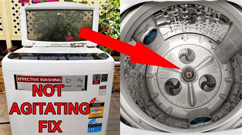 Agitator Not Spinning
