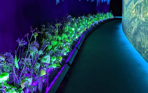 Profile picture of Aglae Huels