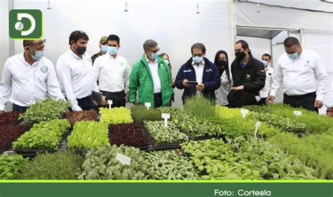 Agricultura del siglo XXI: En Marinilla comenzó a ... - DiariOriente