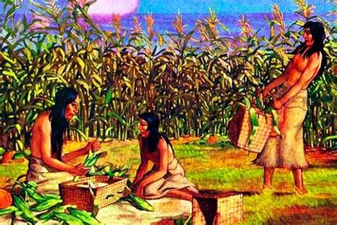 Agricultura precolombiana en chile y los países vecinos. - Manual for a 91 honda cbr 600.