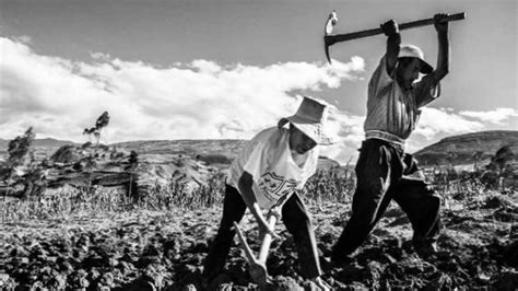 Agricultura venezolana en el desarrollo económico del país y la reforma agraria. - Hp designjet t1100 t1100ps t610 series printer service manual.