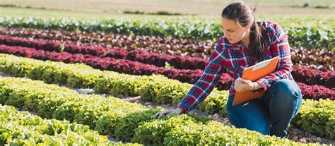 Agricultural Sciences (Engineer in Agronomy) UNHCR Opportunities