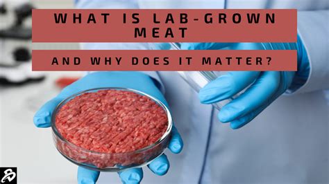 Agriculture 2.0: Is lab-grown meat real life or is it just delicious ...