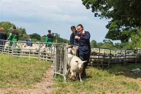 Agriculture Brinsbury College