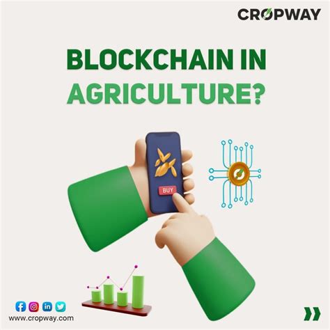 Agriculture Process Gets Blockchain Lift with Pilot Blockchain Tracking System image 6