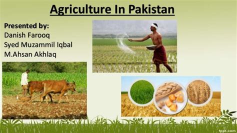 Agriculture Sector of Pakistan - SlideShare