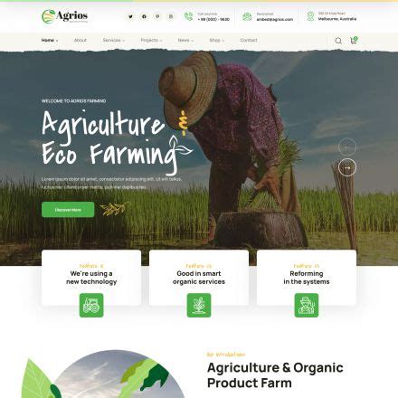 Agriculture WordPress Themes ThemeForest