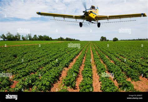 Agriculture aircraft spraying Stock Photos and Images