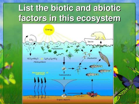 Agroekosistem Abiotic and Biotic