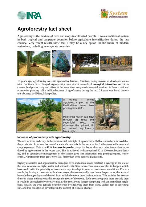 Agroforestry Fact Sheet