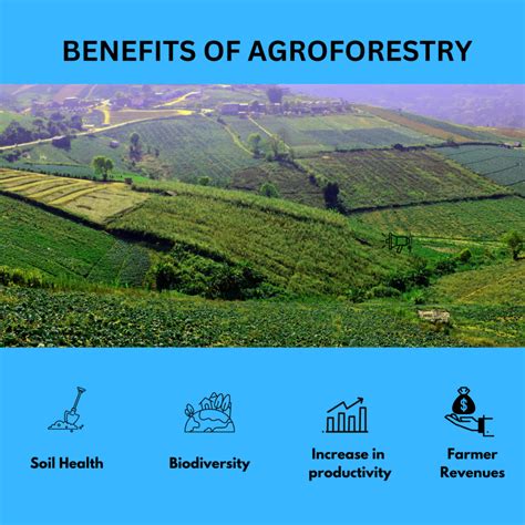 Agroforestry in Scotland Potential Benefits in a Changing Climate