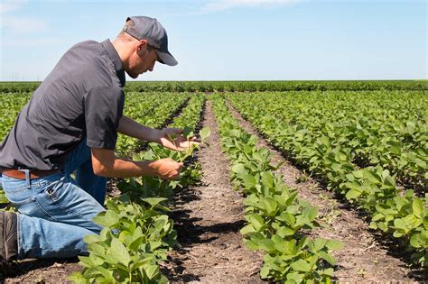 Agronomics. Things To Know About Agronomics. 