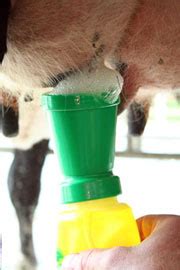 Agroserve Udder hygiene products for pre-milking