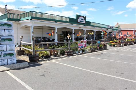 Agway ct. Check out all our nursery has to offer! Here you will find a sampling of the annuals, perennials, trees & shrubs available at our stores. Availability varies by location and sometimes products sell super fast. So if you are looking for something in particular, your best bet is to stop in or call us. Here you will find a sampling of the annuals ... 