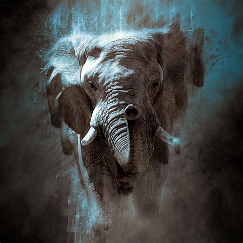 Agyar Halı ve Koltuk Yıkama