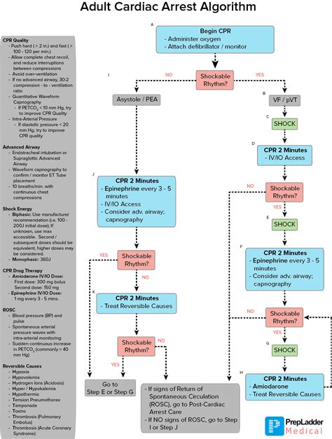For example, an ACLS tachycardia algorithm would be used to help clinicians learn how to treat a patient suffering from an abnormally rapid heartbeat. There are a number of different ACLS algorithms the American Heart Associate has developed. Examples of general topics covered by AHA ACLS algorithms 2013 include: treating cardiac asystole. . 