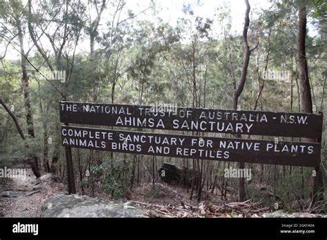 Ahimsa Sanctuary